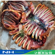유용한 반건조오징어 추천 상품 TOP 5