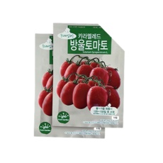 세일 방울토마토 씨앗 할인 상품 BEST 5
