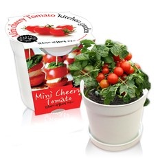 ◀ 2024년 실사용 가성비가 너무 좋아요▶ 방울토마토 키우기 세트 인기 정보 베스트 5