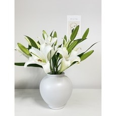 지금 당장 봐야할 백합꽃 할인 제품 베스트 5