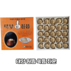 최고의 선택 변기쑥뜸좌훈기 할인 제품 탑 9