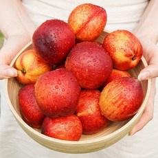 경제적인 복숭아 최저가 상품 탑 5