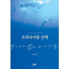 가성비 부산프리다이빙자격증 인기 정보 BEST 5