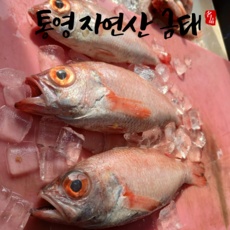 할인정보 붉바리 최저가 제품 베스트 9