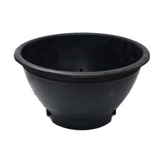 할인정보 블루베리 화분 최저가 상품 리스트 5