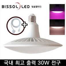 ◀ 2024년 믿고쓰는 혜자템▶ 빛솔홈케어 할인 정보 TOP 9