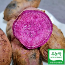 ◀ 2024년 실사용 상품후기 대박▶ 빨강고구마 최저가 상품 베스트 9