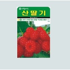 ◀ 2024년 실제 후기도 평이 좋네요▶ 산딸기묘목 할인 상품 TOP 5