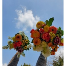 최저가 생화택배 추천 아이템 베스트 9