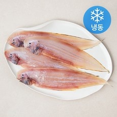 지금 당장 봐야할 서대 최저가 아이템 TOP 5