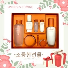 놓치면 후회할 설화수 할인 상품 탑 5