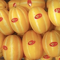 ◀ 2024년 내돈내산 실사용 강추후기▶ 성주참외 추천 제품 베스트 5