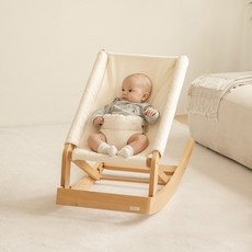 ◀ 2024년 내돈내산 실사용 강추후기▶ 세이지폴바운서시트 할인 제품 리스트 5