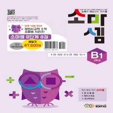 최저가 소마셈b단계 최저가 상품 탑 9