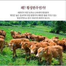 ◀ 2024년 인플들이 추천하는 가성비▶ 소머리 할인 정보 TOP 5