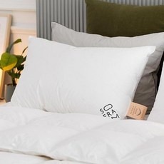 가성비 소프라움간절기구스 할인 아이템 리스트 9