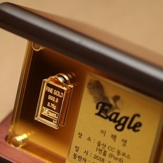 ◀ 2024년 후기를 보니 더 맘에 들어요▶ 순금홀인원패 할인 아이템 베스트 5