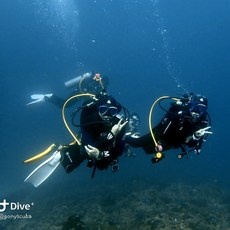 특가 스킨스쿠버자격증 할인 제품 탑 9