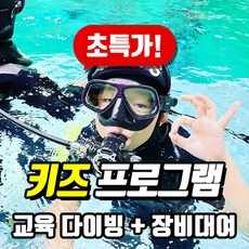 ◀ 2024년 내돈내산 SNS 인기상품▶ 스킨스쿠버체험 추천 아이템 상위 5