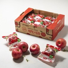 ◀ 2024년 내돈내산 실사용 강추후기▶ 씻어나온 사과 인기 정보 리스트 5