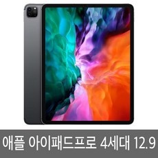 놓치면 후회할 아이패드12.9인치 추천 정보 탑 5
