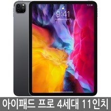 경제적인 아이패드프로114세대256 할인 상품 탑 5