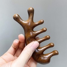 세일 에끌라두 최저가 정보 상위 5