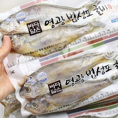 ◀ 2024년 후기로 대박난 행복한 선택▶ 영광굴비 추천 아이템 탑 9 ◀ 2024년 후기로 대박난 행복한 선택▶ 영광굴비 추천 아이템 탑 9