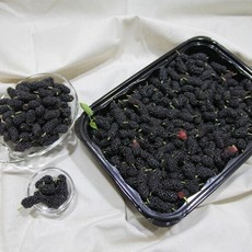 최저가 오디 인기 정보 리스트 9