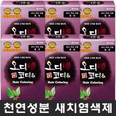◀ 2024년 내돈내산 SNS 인기상품▶ 오디코디 인기 아이템 BEST 9