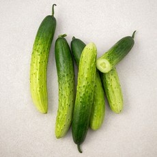 가성비 오이 추천 아이템 BEST 5