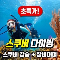 신상품 오픈워터자격증 인기 아이템 TOP 5