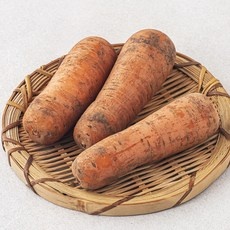 신상품 유기농 당근 인기 정보 TOP 5