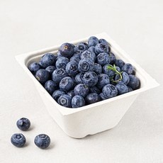 ◀ 2024년 인플들이 추천하는 가성비▶ 유기농 블루베리 인기 상품 TOP 5