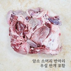 지금 당장 봐야할 자미곱 할인 아이템 리스트 5