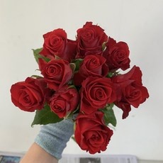 세일 장미생화 인기 상품 BEST 9