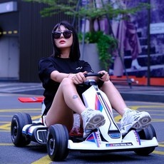 Must Have Item 전기카트 인기 제품 베스트 5