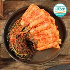 ◀ 2024년 실제 후기도 평이 좋네요▶ 전라도총각김치 최저가 정보 탑 9