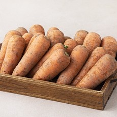 Must Have Item 제주 당근 3kg 인기 제품 상위 5