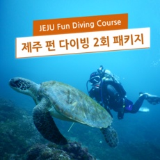 놓치면 후회할 제주도펀다이빙 추천 상품 BEST 5