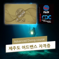◀ 2024년 인플들이 추천하는 가성비▶ 제주스쿠버다이빙자격증 인기 상품 리스트 5