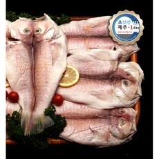 가성비 제주원데이 인기 정보 베스트 5