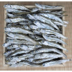 ◀ 2024년 실제 후기도 평이 좋네요▶ 죽방멸치 추천 제품 BEST 5 ◀ 2024년 실제 후기도 평이 좋네요▶ 죽방멸치 추천 제품 BEST 5