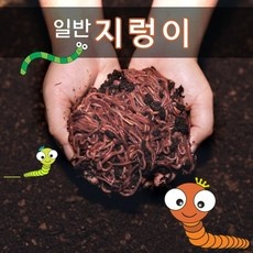 ◀ 2024년 SNS 인기상품 강력추천▶ 지렁이 최저가 제품 탑 9