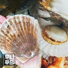 할인정보 참가리비 최저가 상품 탑 5