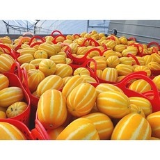 신상품 참외5kg 할인 정보 탑 5