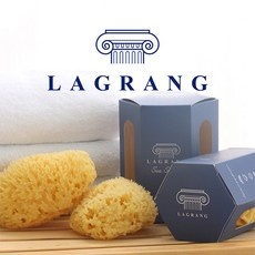 ◀ 2024년 믿고쓰는 혜자템▶ 천연해면스펀지 할인 제품 TOP 5