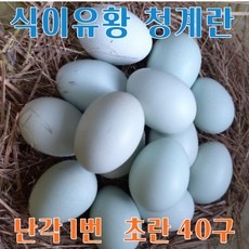 이거 좋더라구요 청란 추천 아이템 베스트 5
