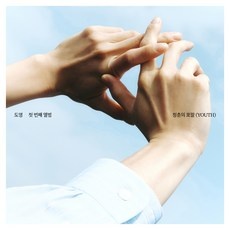 유용한 청춘의포말앨범 최저가 상품 BEST 5