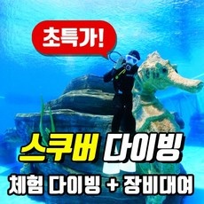 ◀ 2024년 내돈내산 SNS 인기상품▶ 체험스쿠버다이빙 최저가 정보 BEST 5 ◀ 2024년 내돈내산 SNS 인기상품▶ 체험스쿠버다이빙 최저가 정보 BEST 5